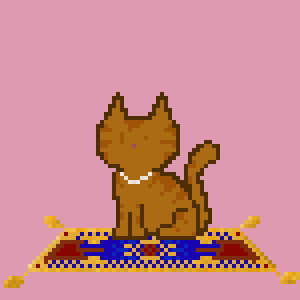 Cat 2055