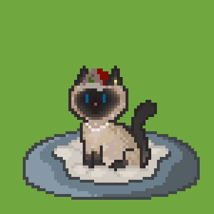 Cat 2062