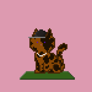 Cat 2162