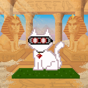 Cat 2177