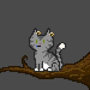 Cat 2334