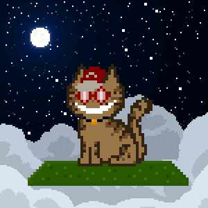 Cat 241
