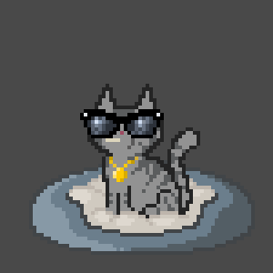Cat 243
