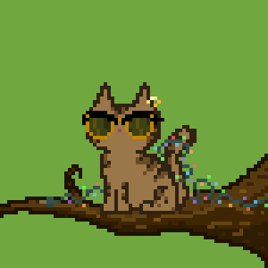 Cat 2699