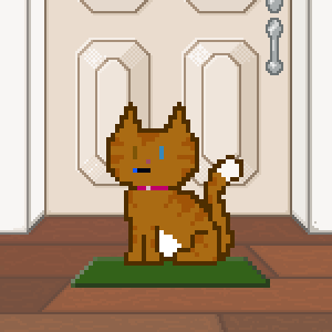 Cat 284