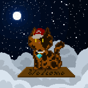 Cat 29