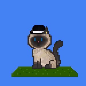 Cat 2916
