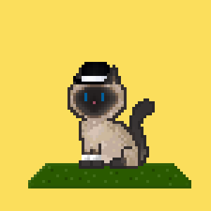 Cat 298