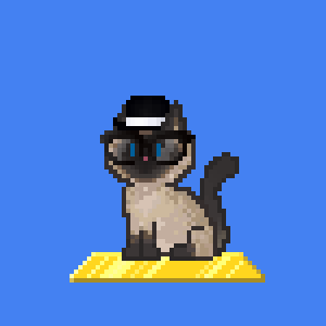 Cat 311