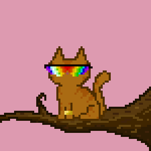 Cat 355