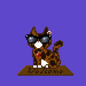 Cat 384