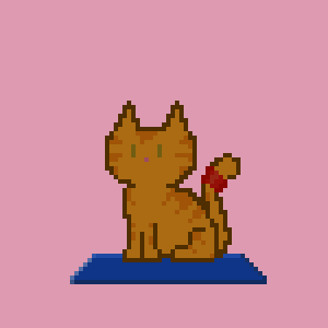 Cat 404