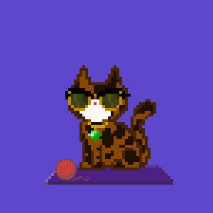 Cat 4051