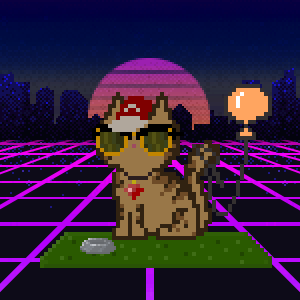 Cat 4216