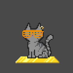Cat 4303