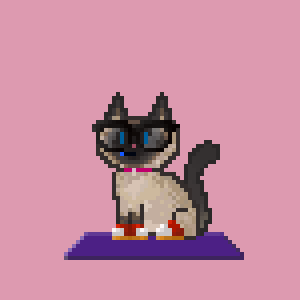 Cat 4333