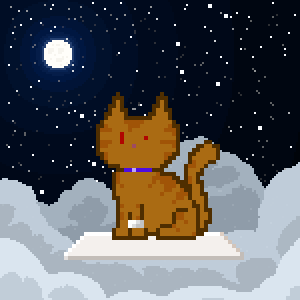 Cat 4448