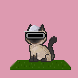 Cat 4453