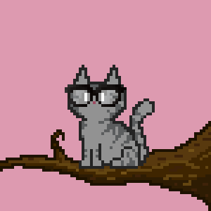 Cat 47