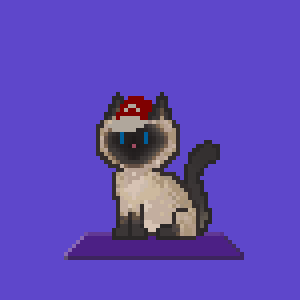 Cat 4702