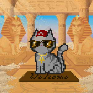 Cat 4896