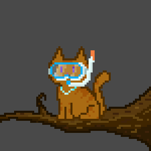 Cat 5000