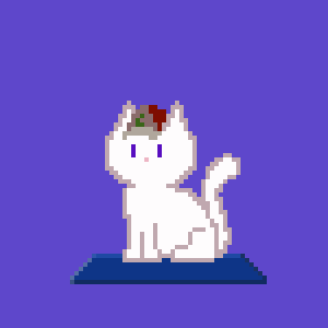Cat 538