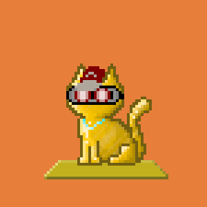 Cat 5555