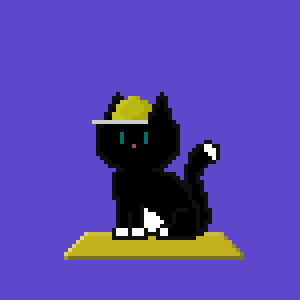 Cat 5637
