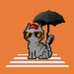 Cat 5656
