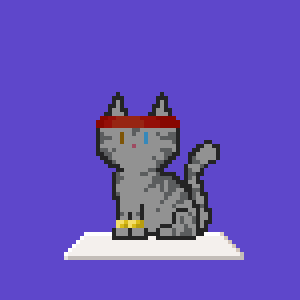 Cat 5895