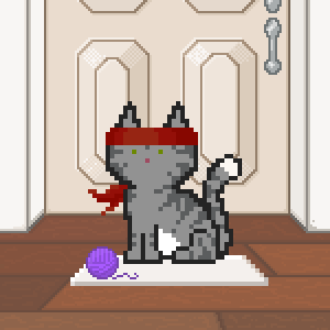 Cat 6666