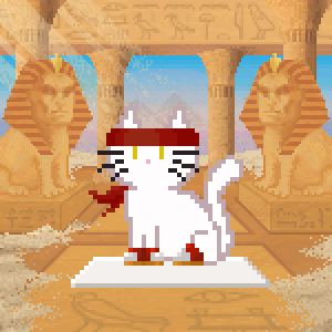 Cat 7562