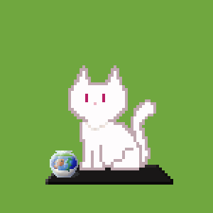 Cat 79
