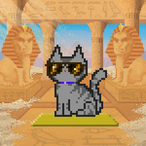 Cat 7916