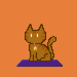 Cat 8019