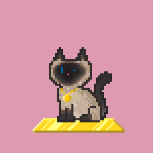 Cat 82
