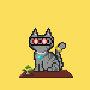 Cat 84