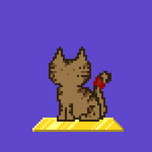 Cat 8894