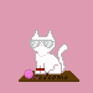 Cat 8895