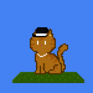 Cat 8898