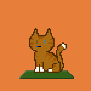 Cat 892