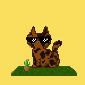 Cat 898