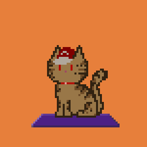 Cat 900