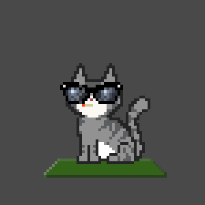 Cat 9116