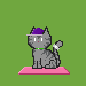 Cat 9560