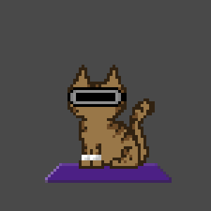Cat 9570