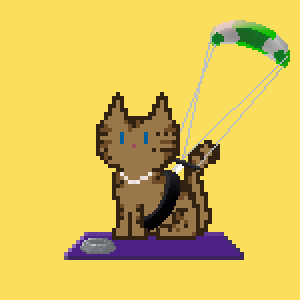 Cat 9714