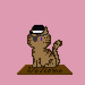 Cat 9814