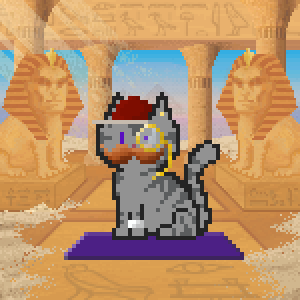 Cat 9911